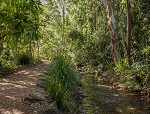 Small residential moves and furniture transport throughout Burpengary