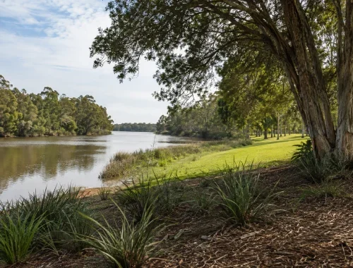 Residential furniture relocation and small moves in Murrumba Downs