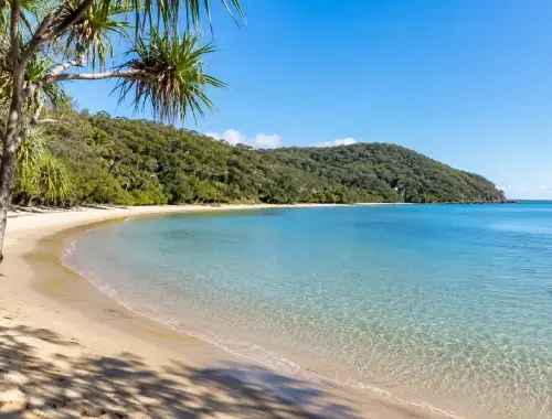 Removalists providing furniture and household moves in Noosa Heads